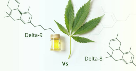 Delta 8 vs Delta 9